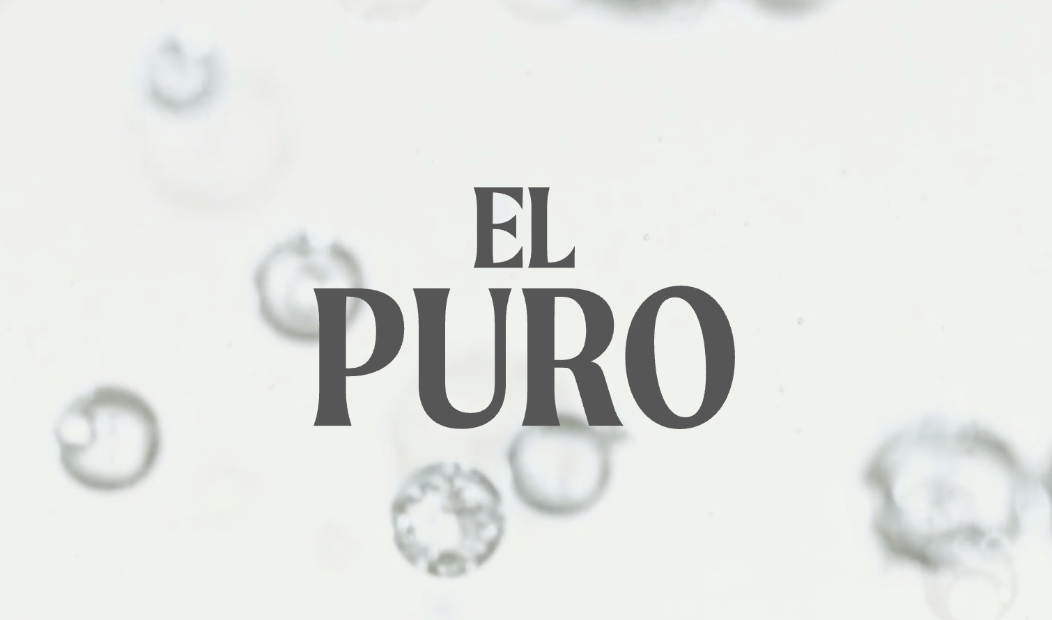 EL PURO Still 0,75L